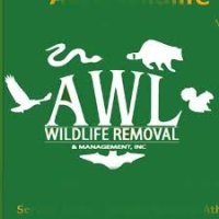 Wildlife Removal