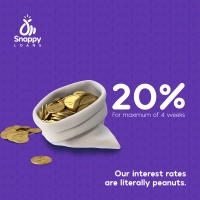 SnappyLoans